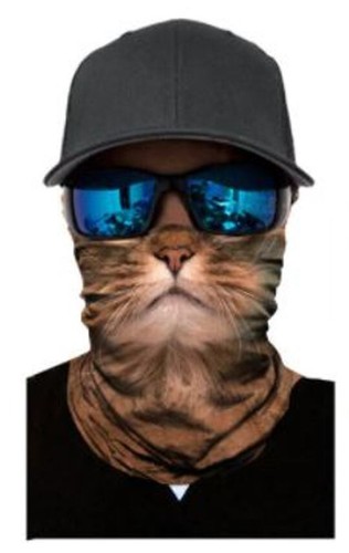 Bandana katze chat cat - katze,